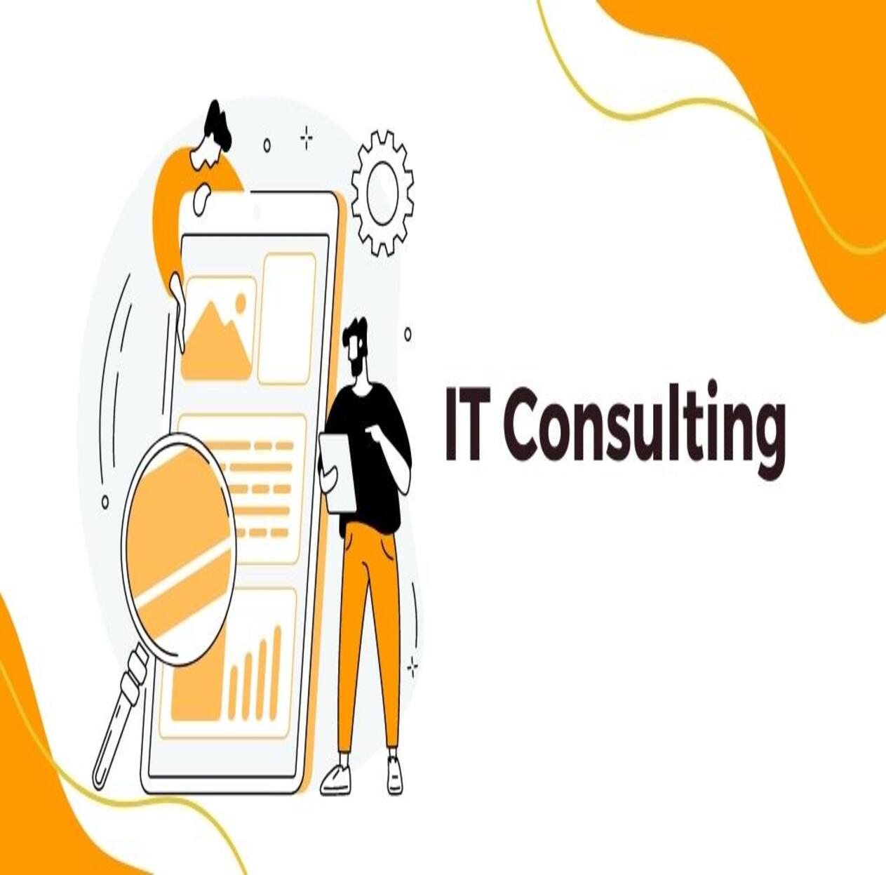 IT Consultation